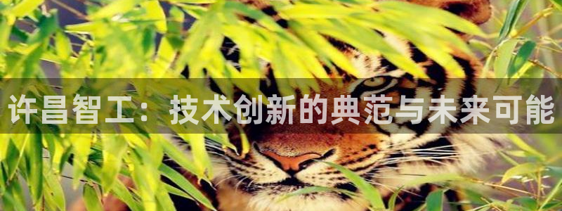 云顶国际唯一官方网站是哪个
