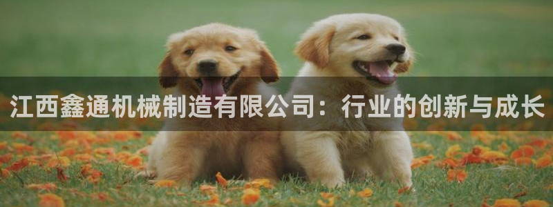 云顶国际是不是真的吗