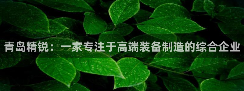 云顶集团网站多少钱一个