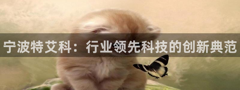 云顶国际账号怎么登录不了