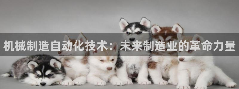 云顶集团3118
