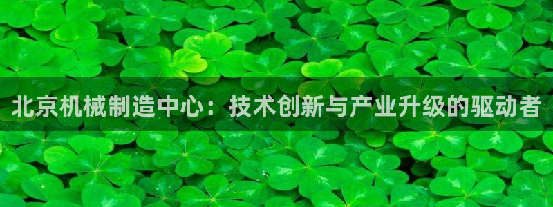 云顶国际高中学费多少