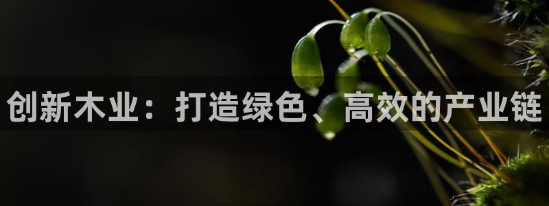 云顶最新调整