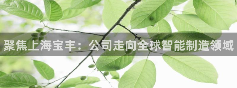云顶集团中国分公司