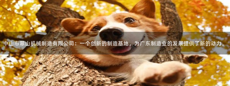 云顶国际取款多久到账户