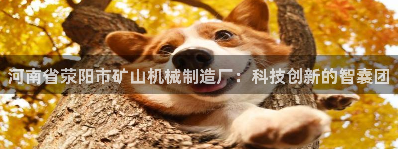 云顶集团游戏app苹果版