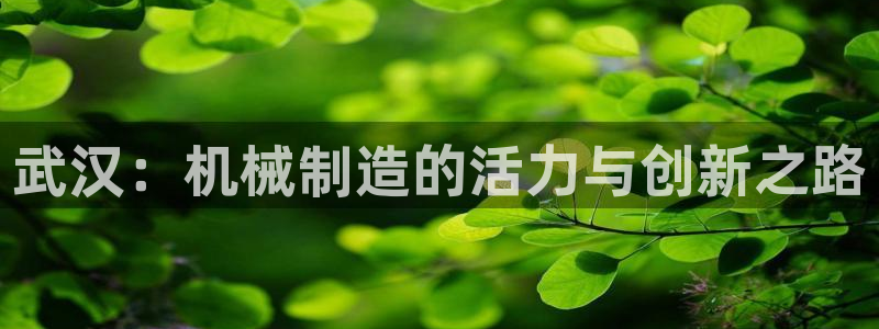 云顶国际俱乐部是干嘛的