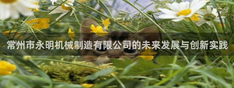 云顶最新线路检测