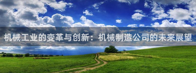 云顶国际麻将胡了几张牌