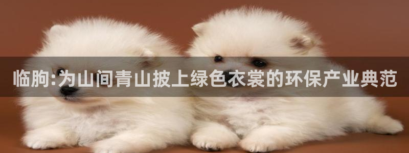 云顶国际提现多久到账啊