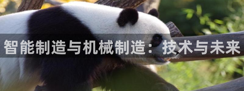 云顶国际怎么进不去了