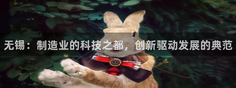 云顶集团有限公司简介图片