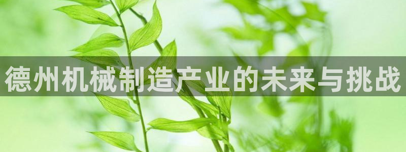 云顶国际教育