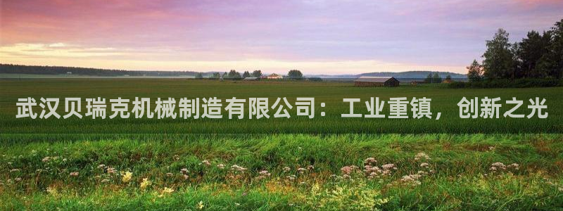 云顶集团网站多少