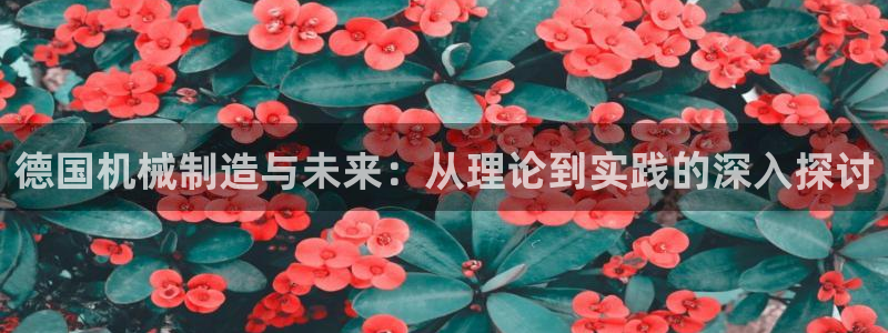 云顶集团老总简介