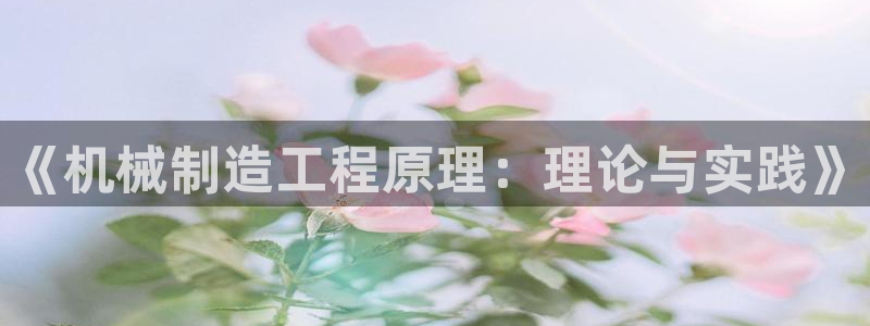 云顶国际软装公司怎么样