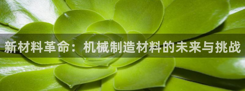 云顶国际大酒店停车场收费