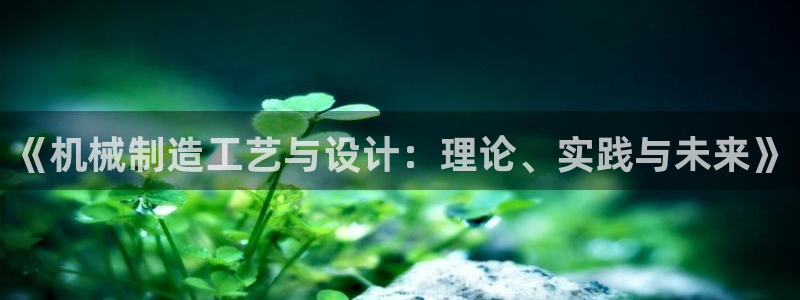 云顶国际服官网