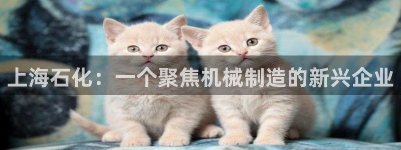 yd12300云顶线路(中国)有限公司