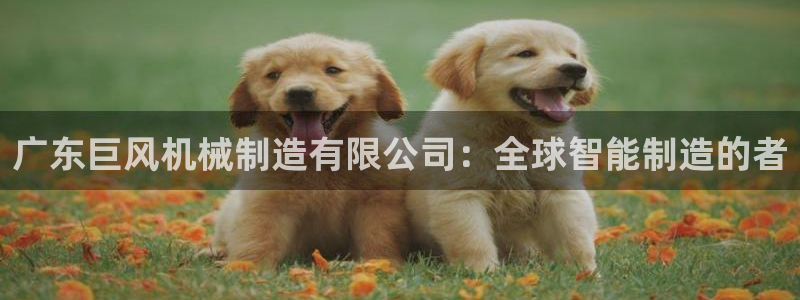 云顶国际在线登录