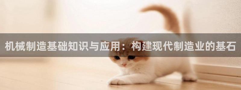 云顶集团公司简介图片