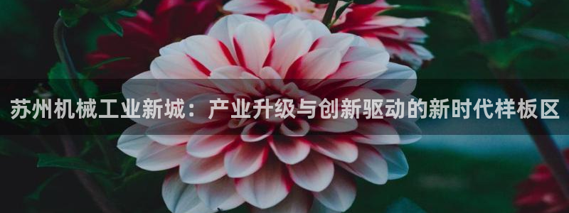 云顶国际装饰设计公司