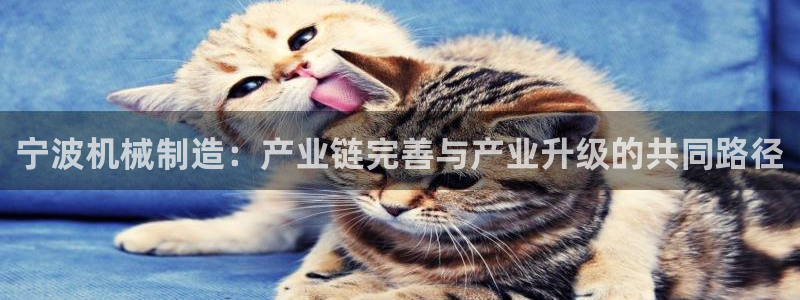 云顶国际提现多久到账啊