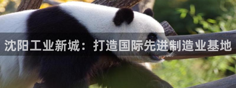 云顶国际俱乐部怎么样