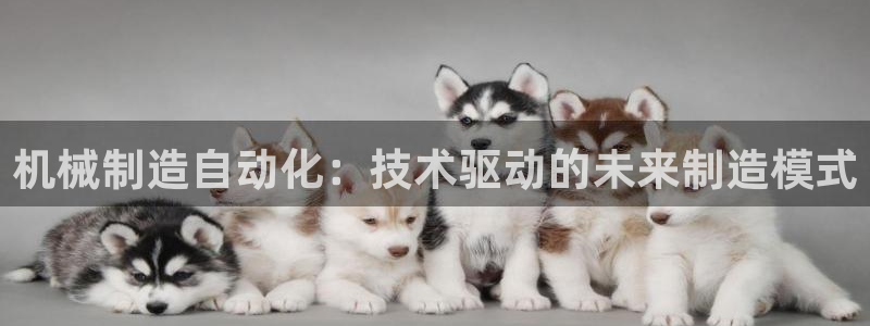 云顶线路检测 官方网站