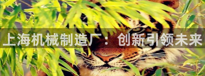 云顶国际官网官方网站