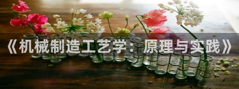 云顶集团app下载官网老版本