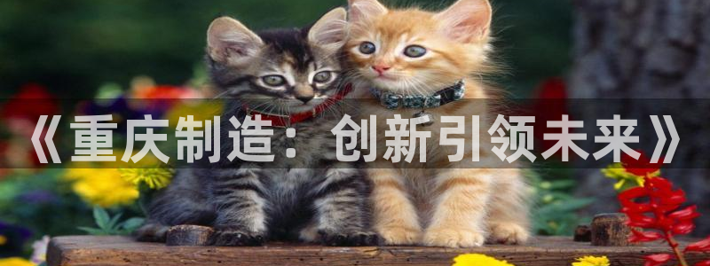 云顶国际酒店电话多少