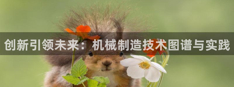 云顶国际电话号码查询