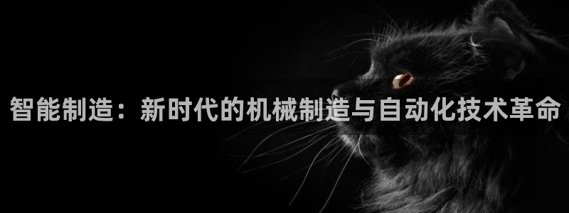 云顶控股集团有限公司