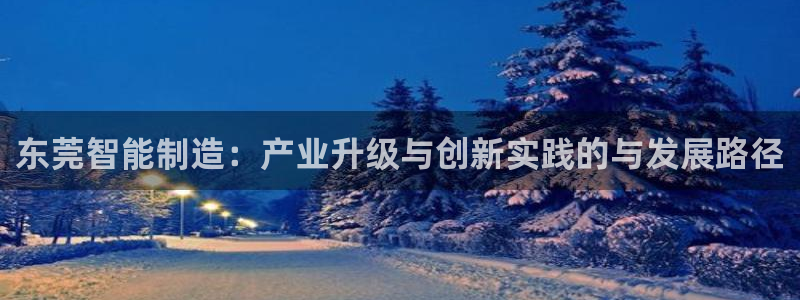 4008浏览器云顶下载