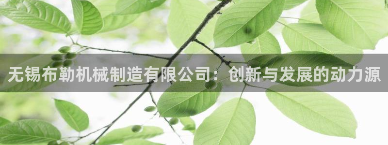 云顶国际服什么时候更新s90