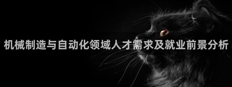 云顶集团游戏app8293