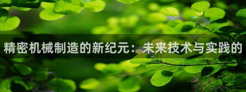 云顶国际服加速器