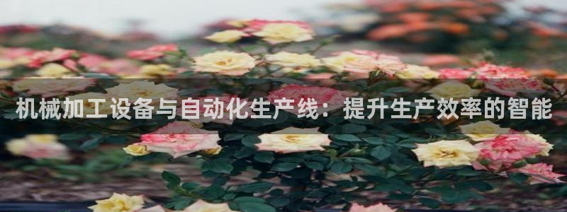 云顶国际网站是多少