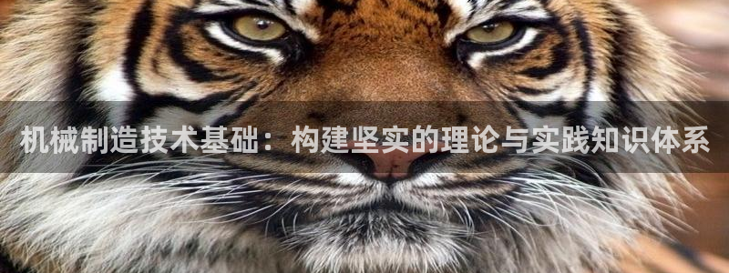 云顶国际服什么时候更新s115