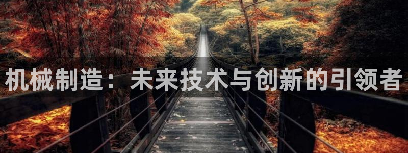 云顶集团网站多少钱一个