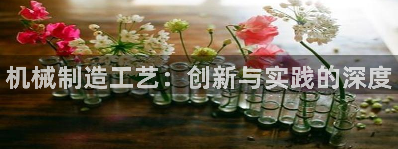 云顶集团官网登录入口下载