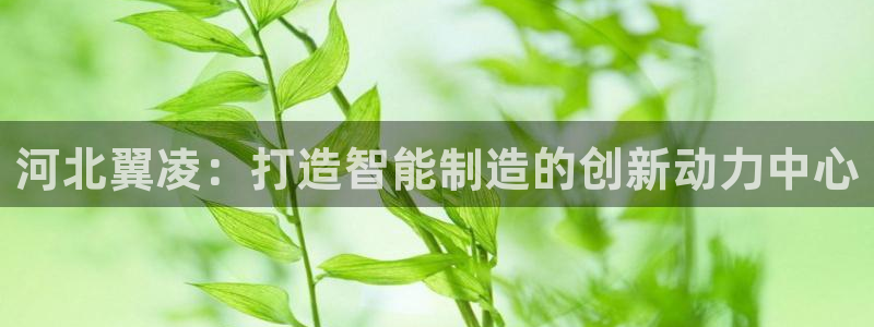 云顶国际服名字