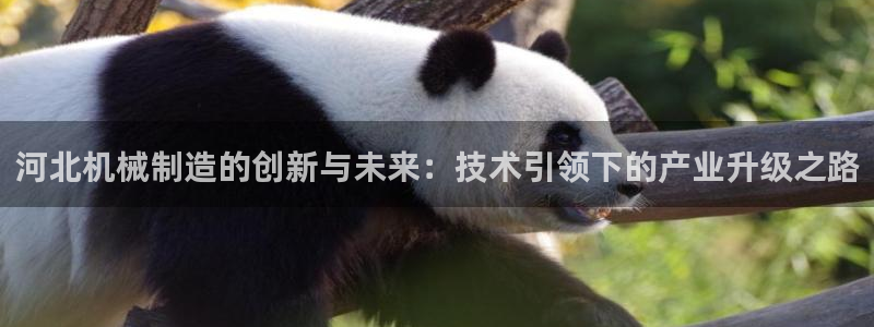 云顶国际服更新时间是多久