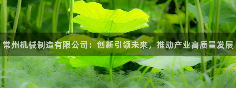 云顶集团老总