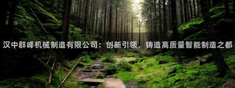 云顶国际平台游戏官网