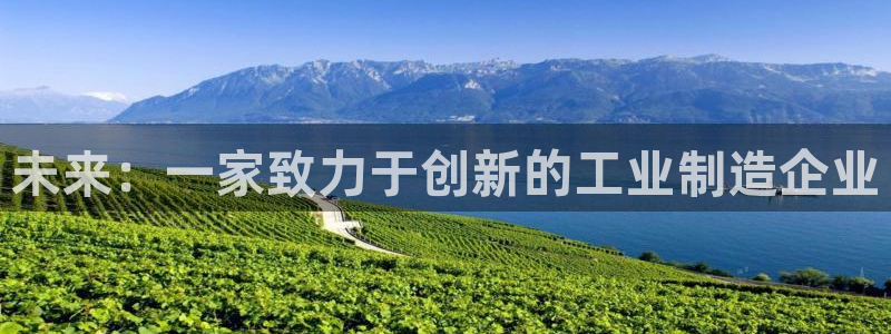 云顶国际集团发展有限公司国内项目总经理