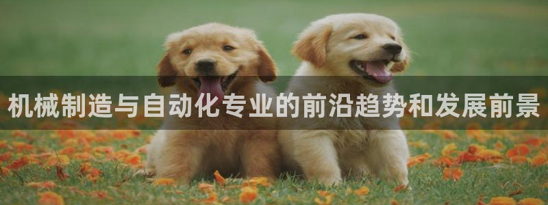 云顶国际酒店电话号码多少
