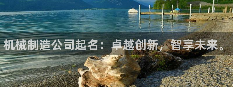 云顶国际旅行社官网