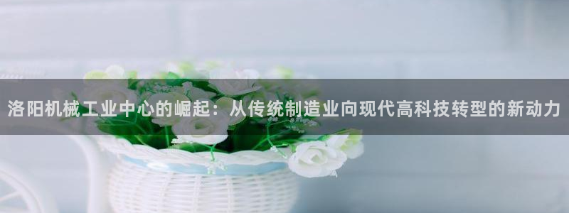 云顶集团有限公司简介概况